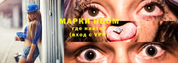 трава Болотное