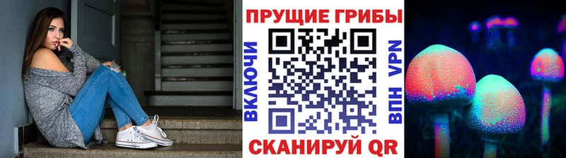 Псилоцибиновые грибы прущие грибы  ссылка на мегу онион  Тында 